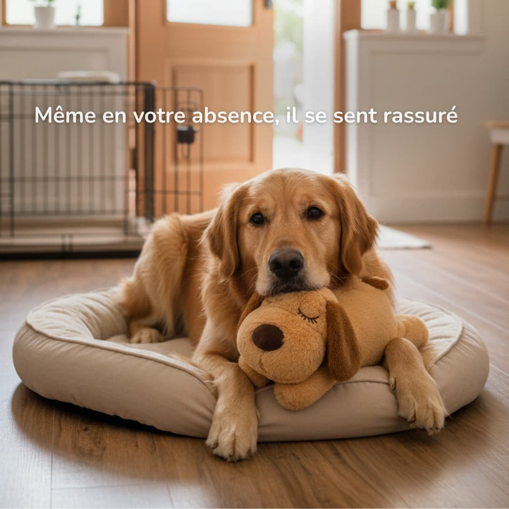 NOOKI – Peluche apaisante