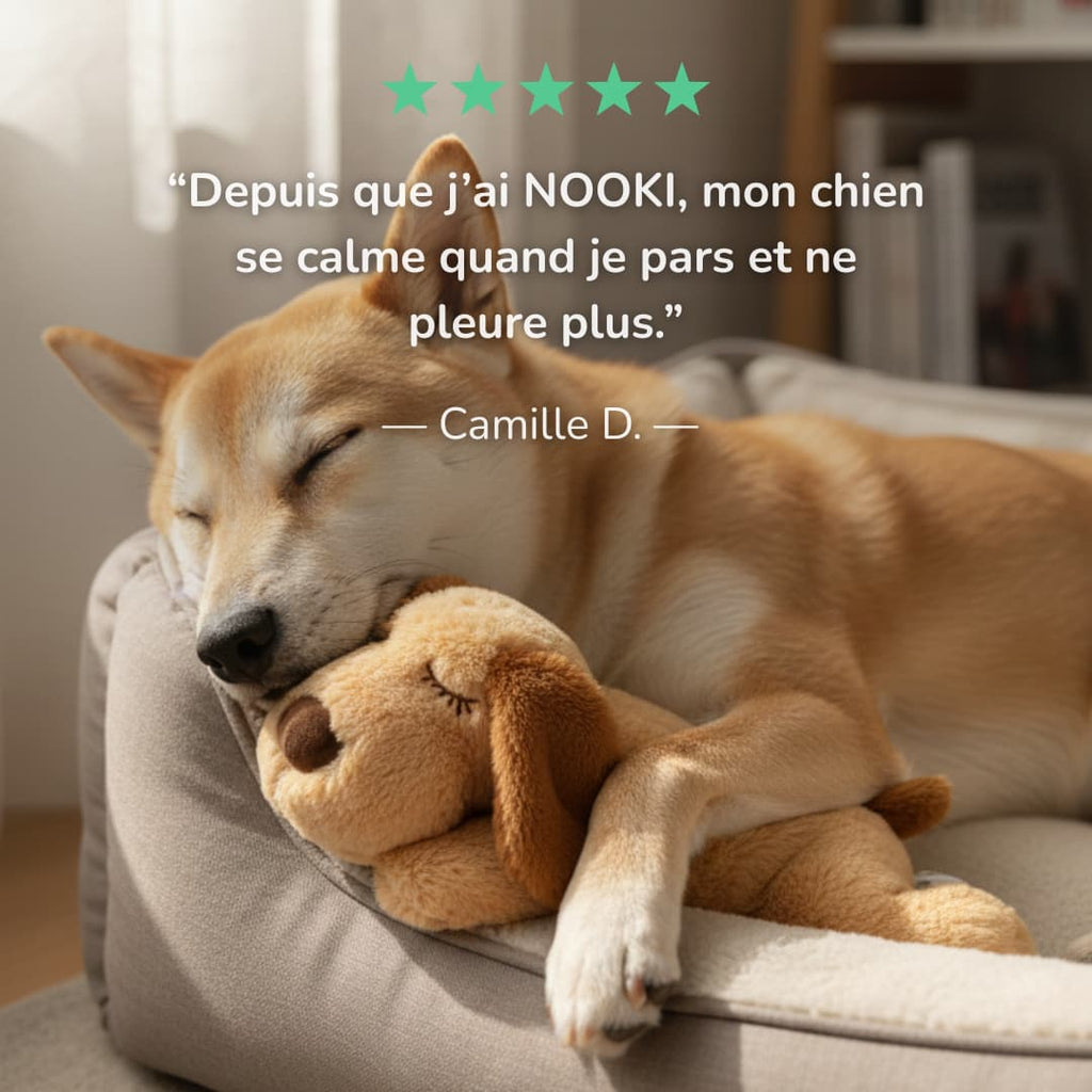 NOOKI – Peluche apaisante