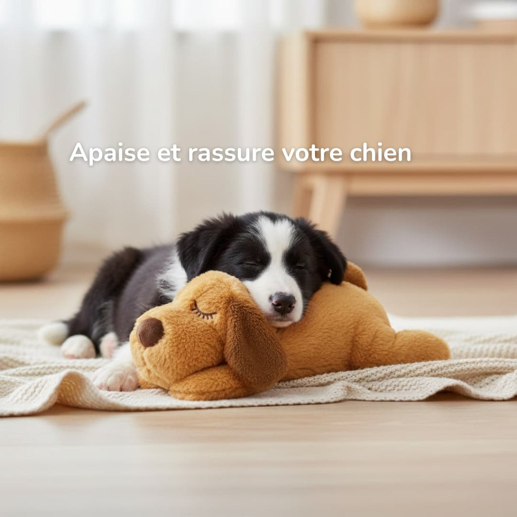 NOOKI – Peluche apaisante
